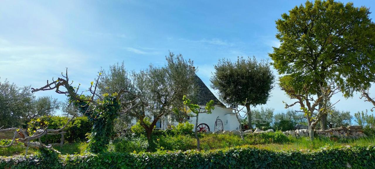 Antico Trullo Immerso Nella Campagna Alberobello Zewnętrze zdjęcie